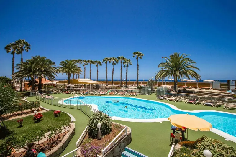 Une piscine rectangulaire bordée de transats et de palmiers sous un ciel bleu.