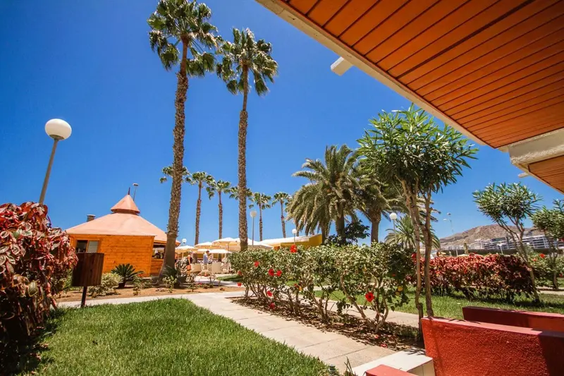 Jardin verdoyant avec palmiers et végétation luxuriante sous un ciel bleu.