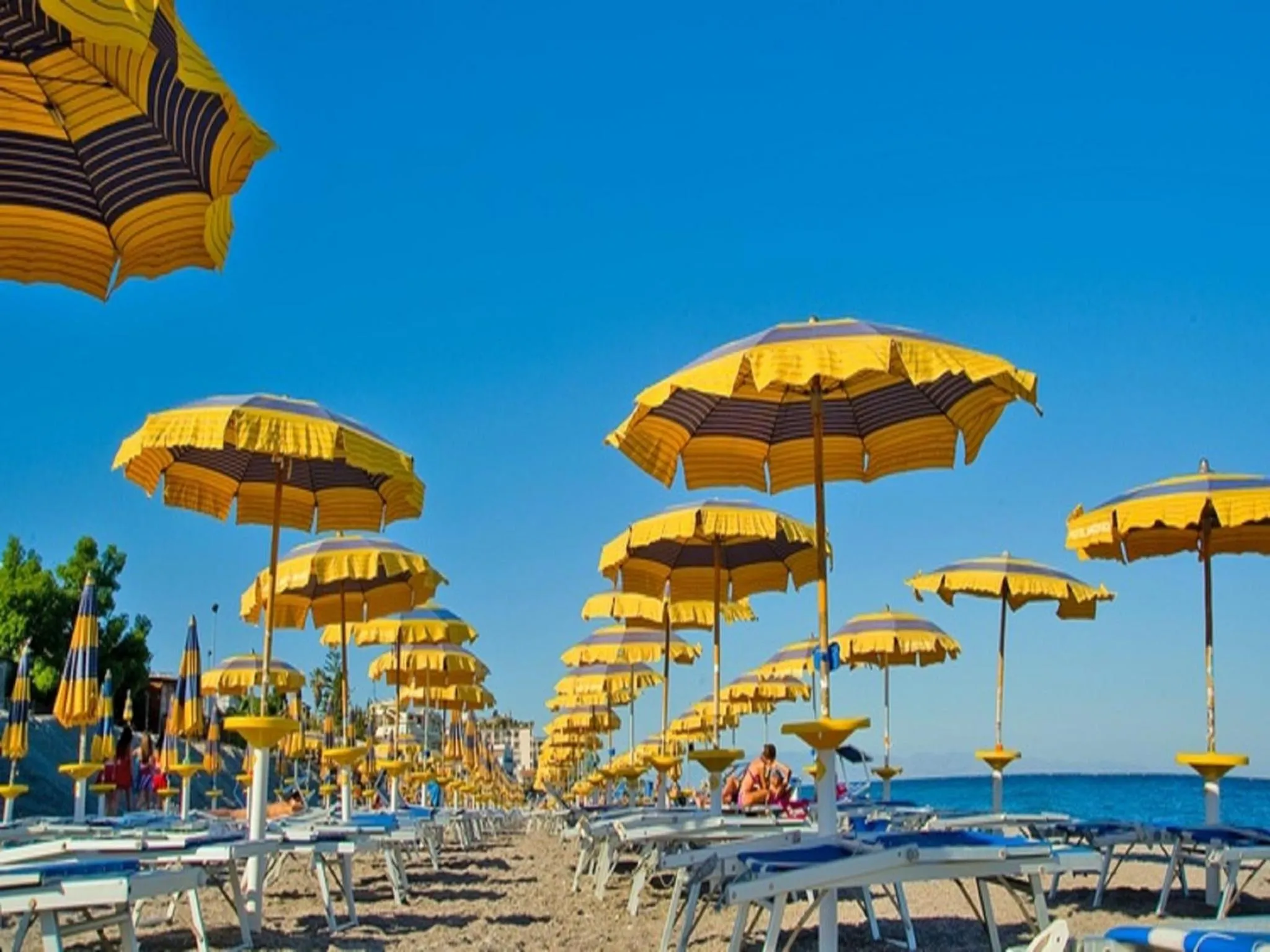 Transats et parasols jaunes sur une plage de sable fin face à la mer.