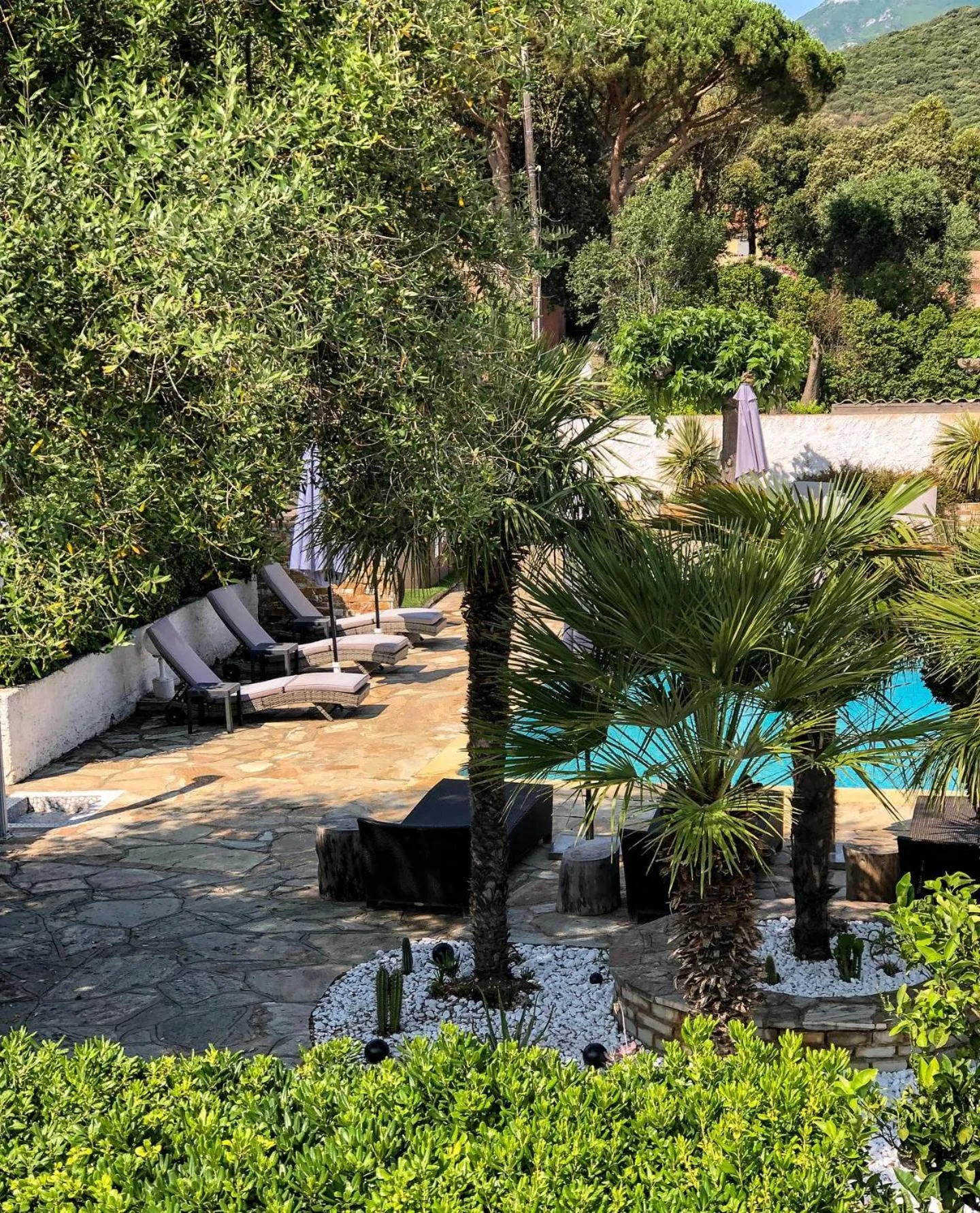 Transats alignés au bord d'une piscine entourée de végétation luxuriante.