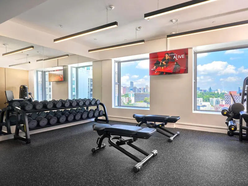 Une salle de sport lumineuse avec des équipements de musculation et une vue sur la ville.