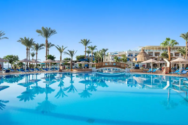 Vue d'une piscine turquoise bordée de transats et de palmiers.
