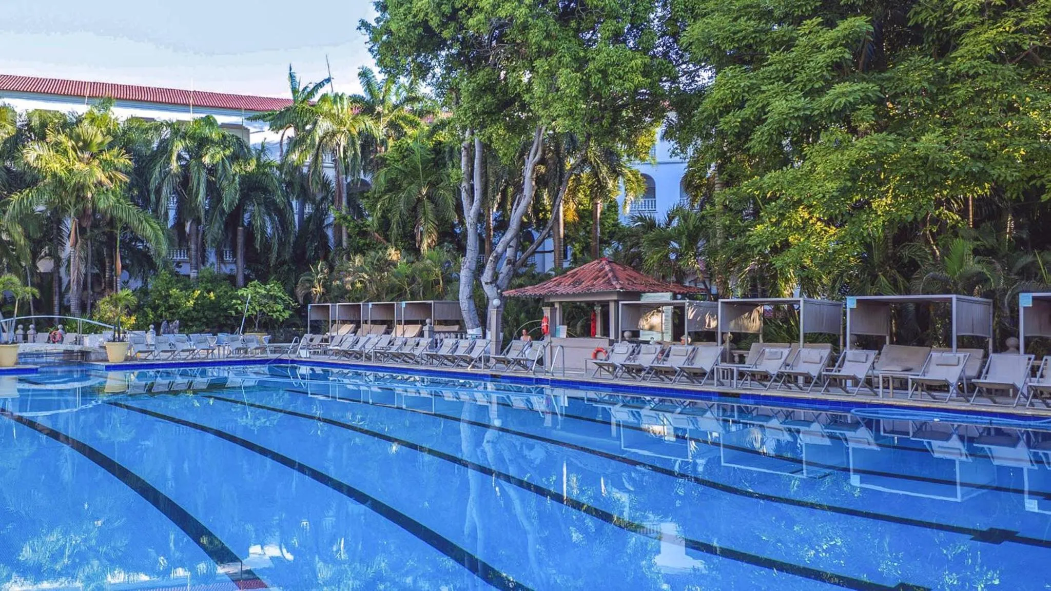 Une piscine rectangulaire bordée de transats et d'arbres verdoyants.