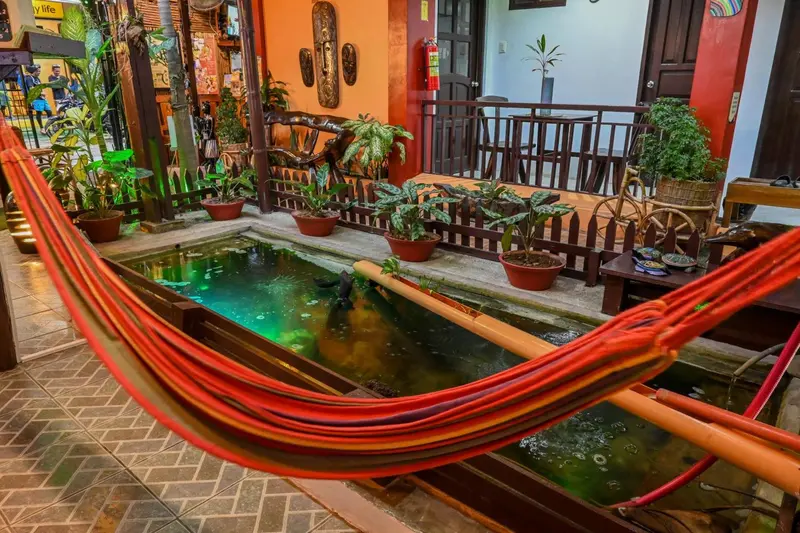 Un hamac rouge est suspendu au-dessus d'un bassin d'eau verdâtre entouré de plantes et de pots de fleurs.