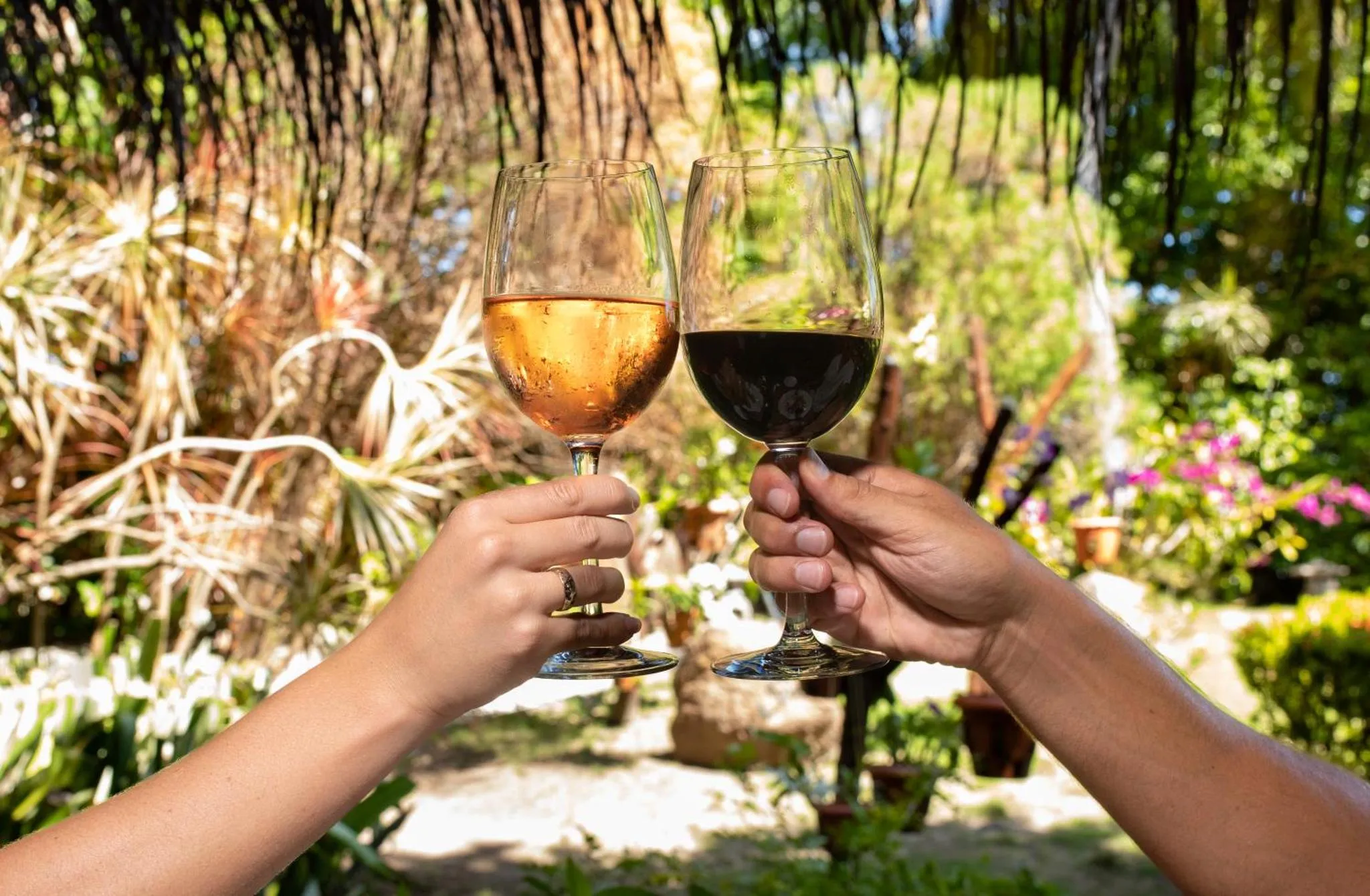 Deux verres de vin se croisent devant une végétation luxuriante.