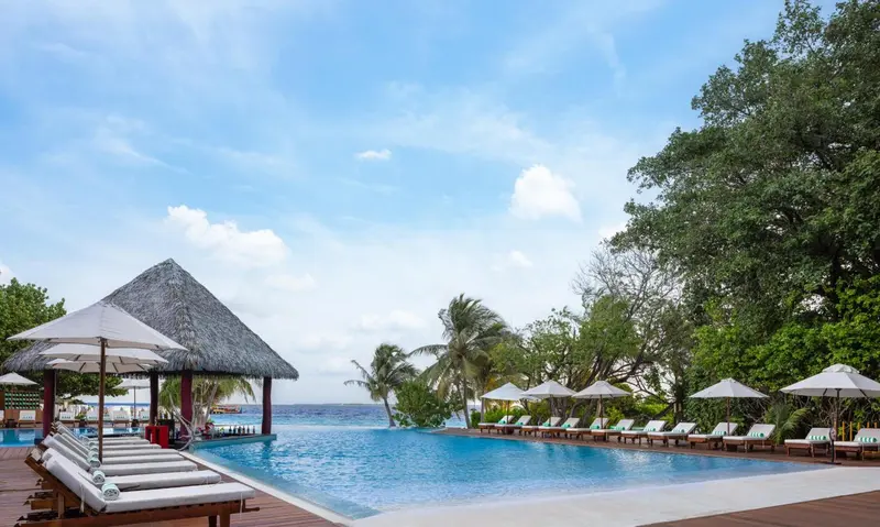 Une piscine à débordement bordée de transats blancs sous des parasols.