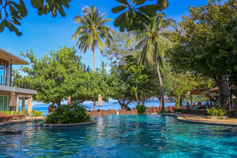 Une piscine turquoise bordée de végétation luxuriante et de transats.