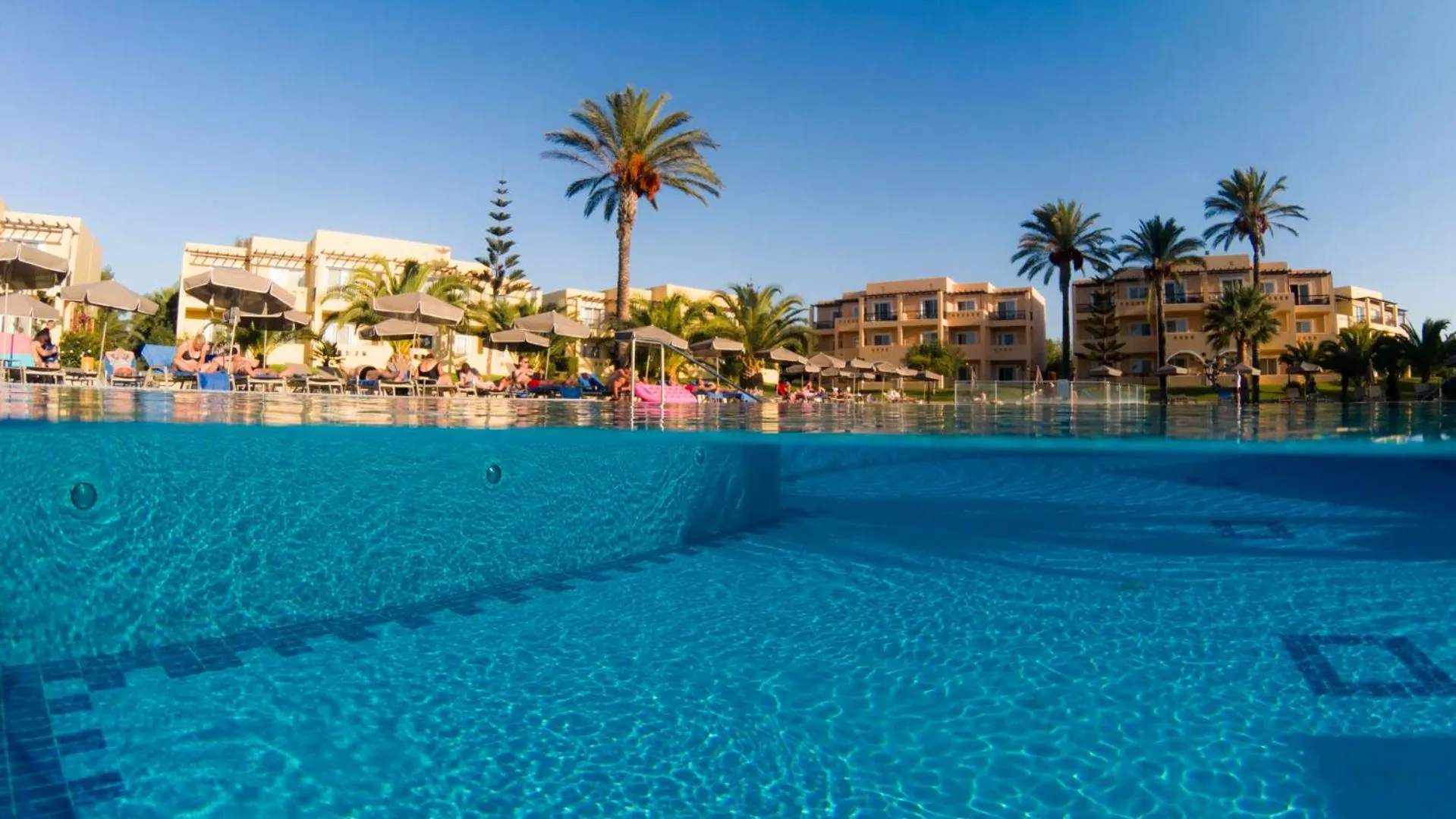 Vue d'une piscine avec des transats et des palmiers en arrière-plan.