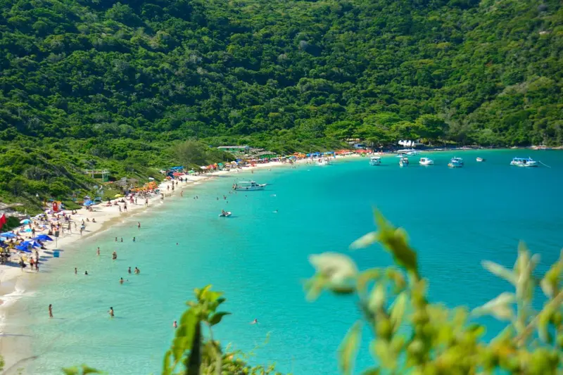 Une plage de sable fin bordée d'une eau turquoise et entourée de végétation luxuriante.