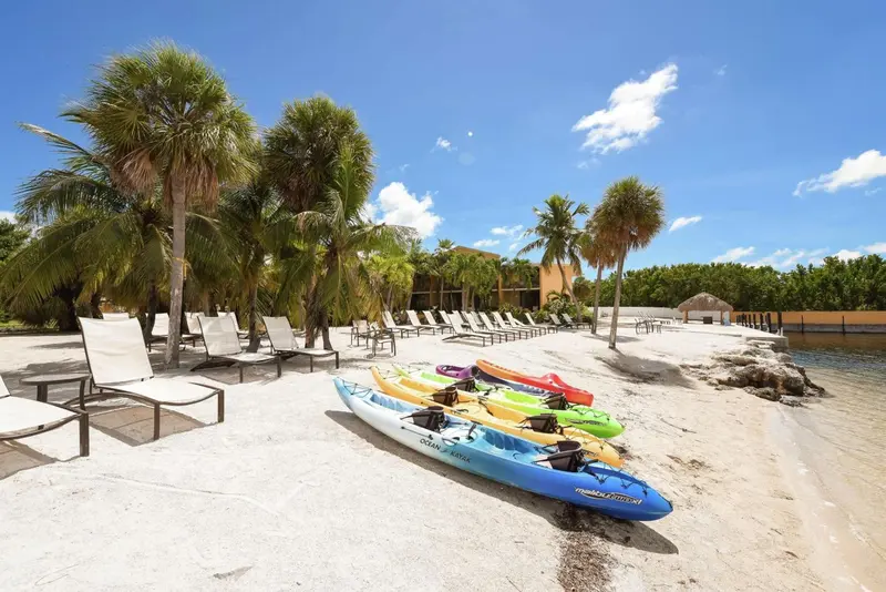 Transats et kayaks sur une plage de sable blanc bordée de palmiers.