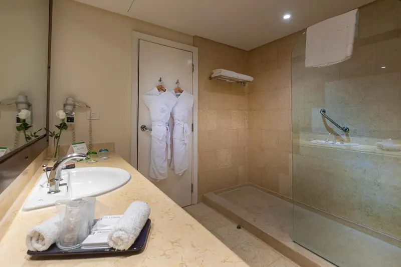 Une salle de bain lumineuse avec douche à l'italienne et vasque.