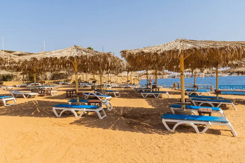 Transats bleus et parasols en chaume sur une plage de sable fin.