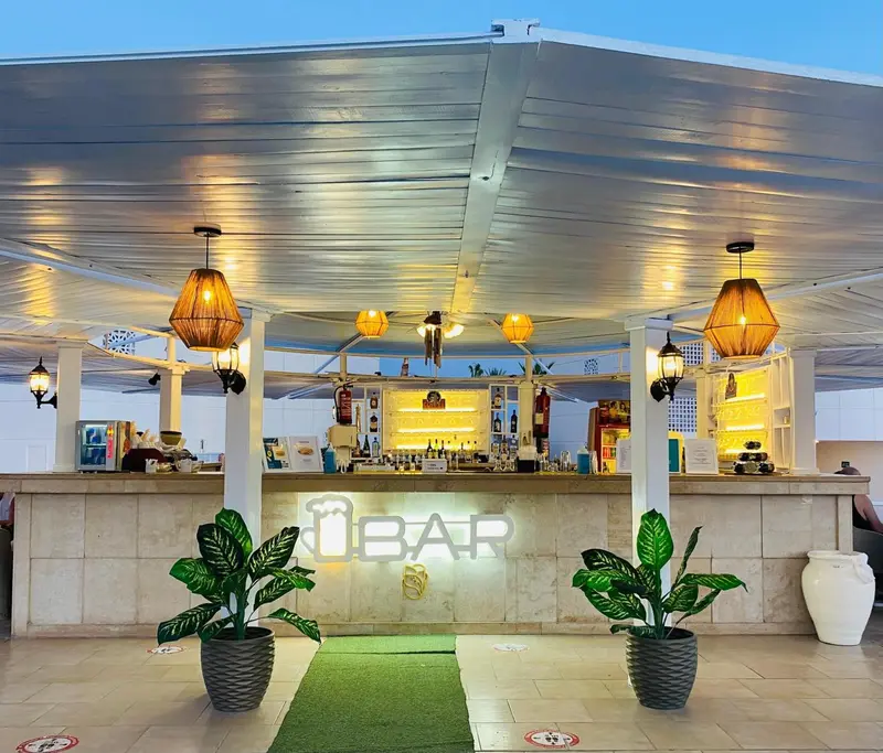 Un comptoir de bar lumineux avec des suspensions décoratives et des plantes.