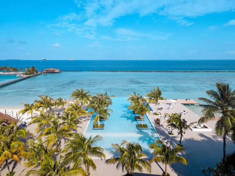 Vue aérienne d'une piscine à débordement bordée de palmiers et donnant sur une mer turquoise.