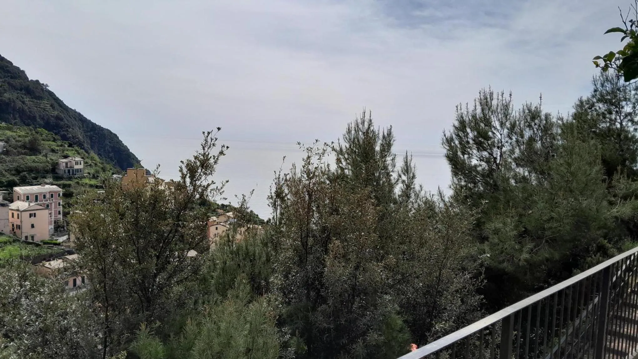 Vue sur un village en bord de mer depuis une terrasse verdoyante.
