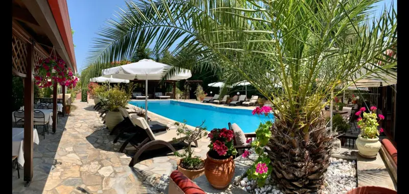 Une piscine bordée de chaises longues et de végétation luxuriante sous des parasols.