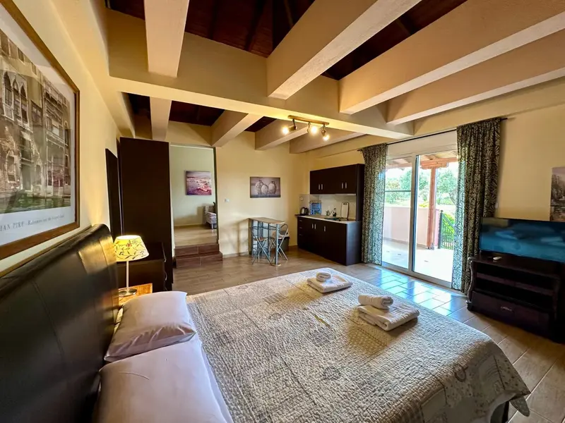 Espace de vie lumineux avec lit, coin repas et kitchenette.