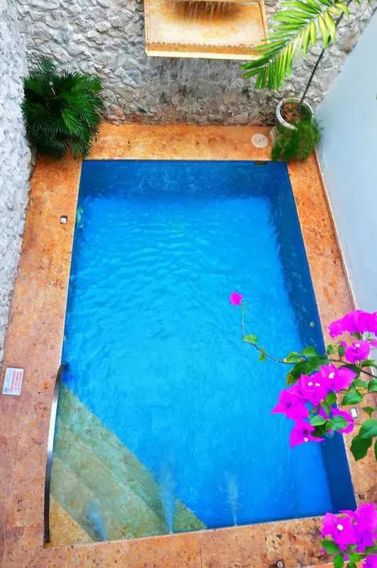 Petite piscine rectangulaire entourée d'un dallage et de plantes.