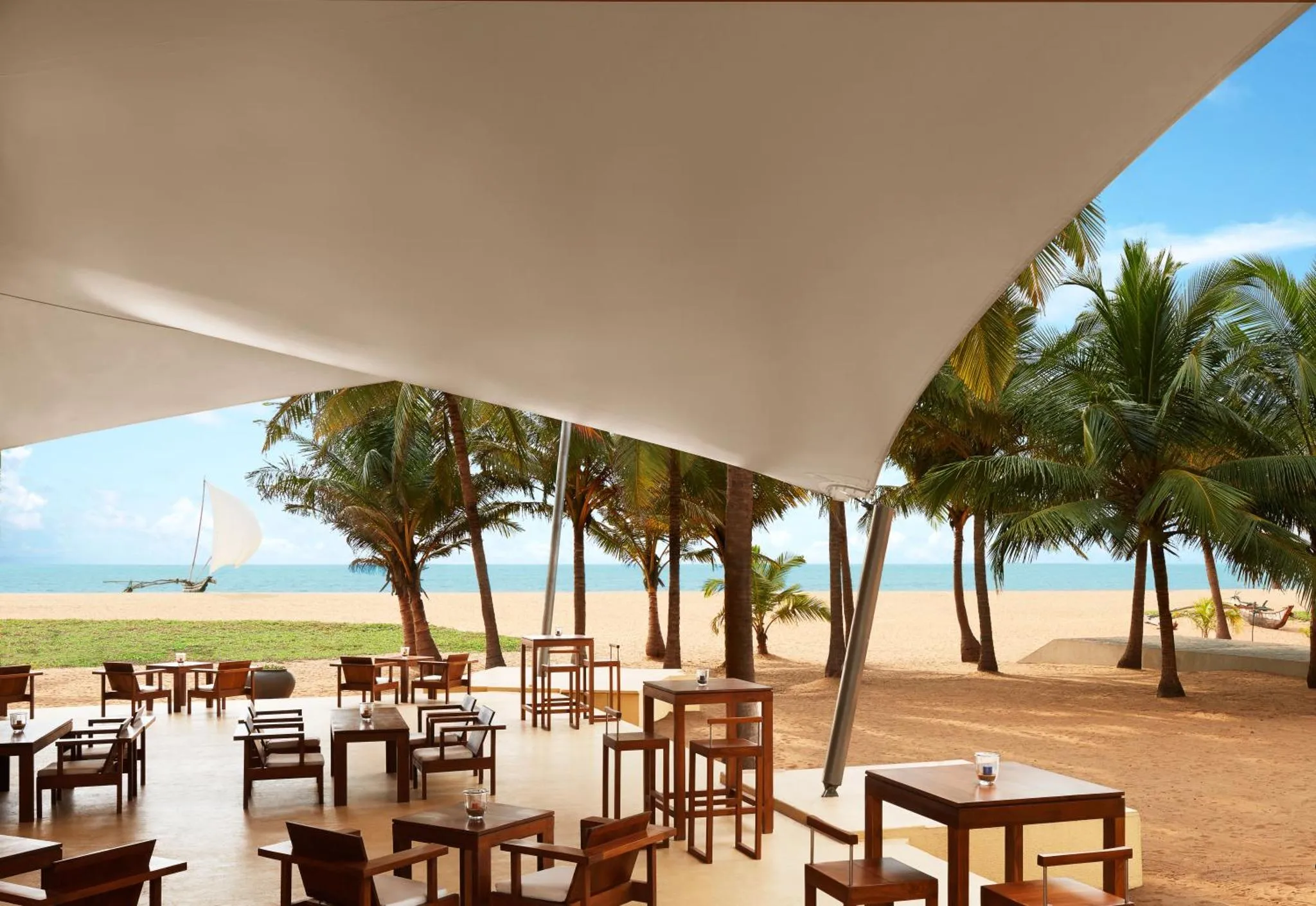 Terrasse ombragée avec tables et chaises face à la mer et aux palmiers.