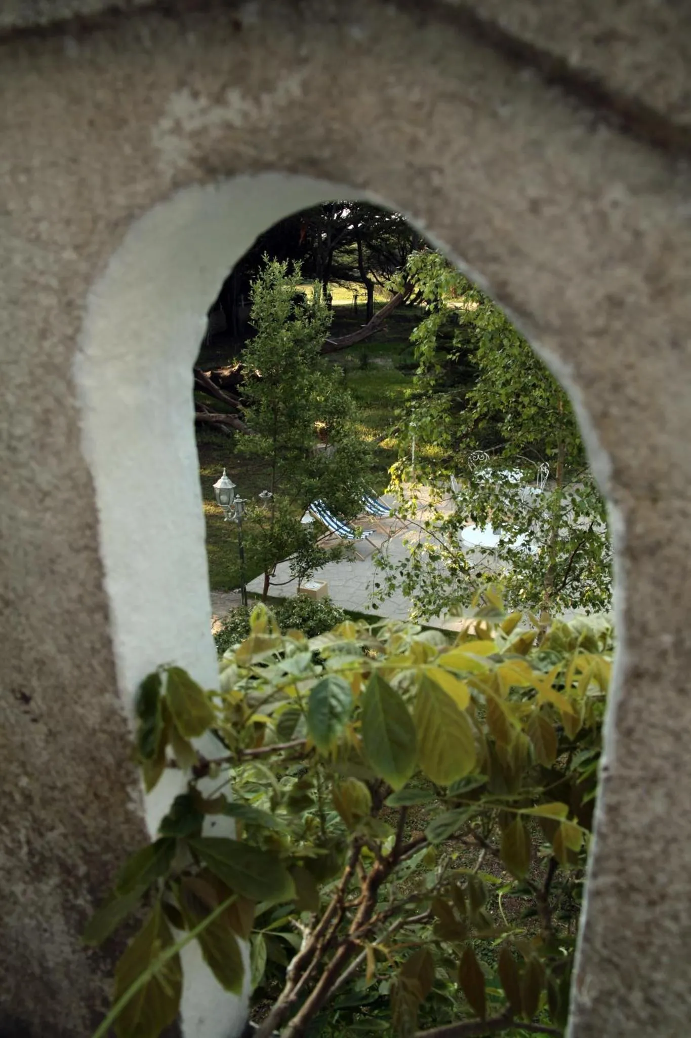 Vue sur un espace extérieur verdoyant avec des transats près d'une piscine.