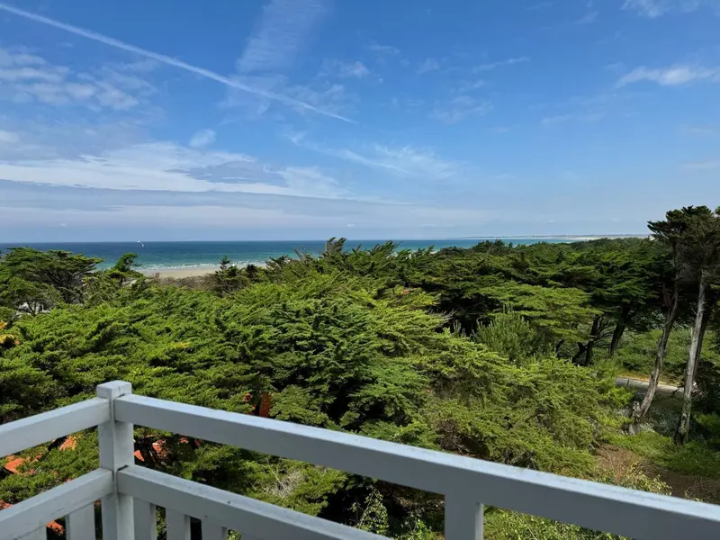 Vue d'un paysage côtier verdoyant depuis une terrasse.