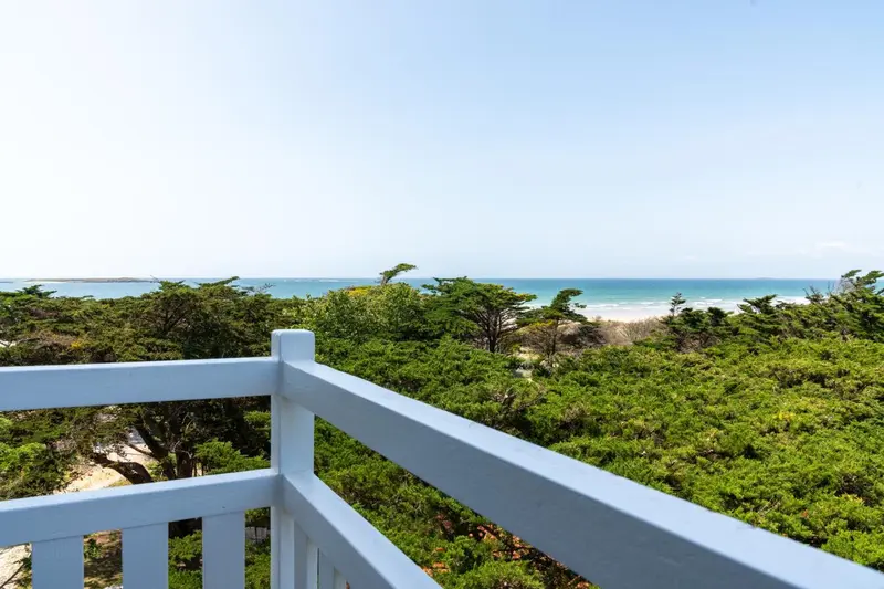Vue dégagée sur la mer depuis un balcon verdoyant.