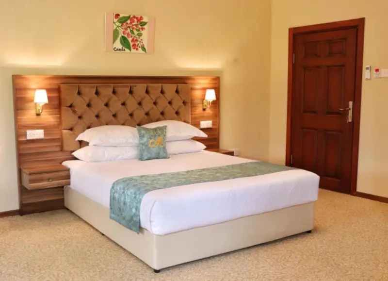 Une chambre lumineuse avec un grand lit recouvert d'une courtepointe.