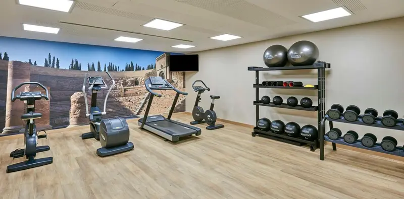 Une salle de sport lumineuse avec divers équipements de musculation et un grand décor mural représentant un paysage.