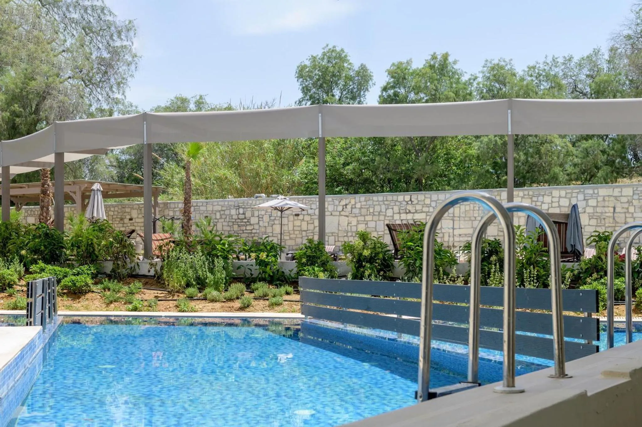 Une piscine rectangulaire avec des transats et une végétation luxuriante en arrière-plan.