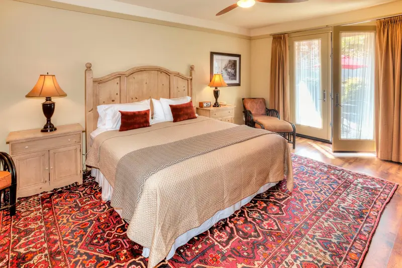 Une chambre à coucher lumineuse avec un grand lit et un tapis décoratif.