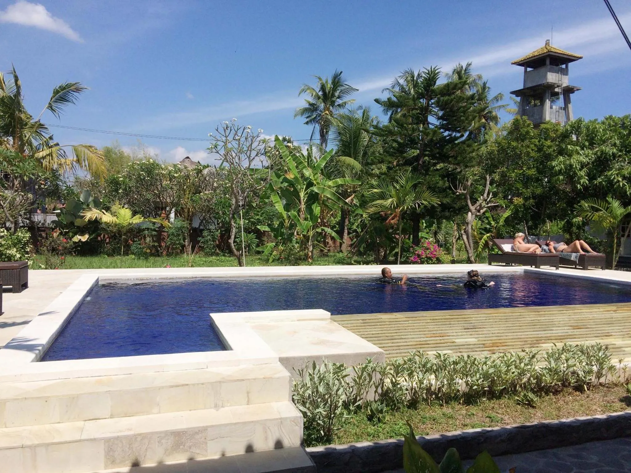 Une piscine rectangulaire bordée d'une terrasse ensoleillée, entourée d'une végétation tropicale luxuriante.