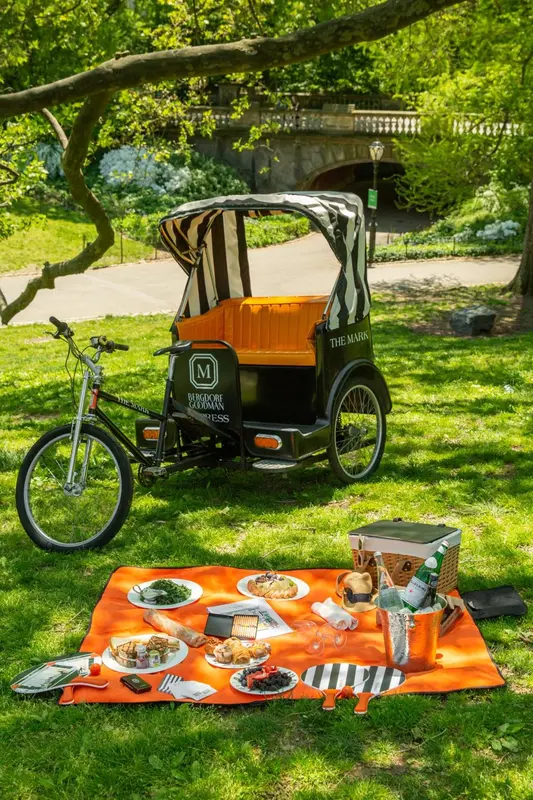 Un pique-nique est installé sur une pelouse verdoyante avec un vélo à trois roues à rayures.