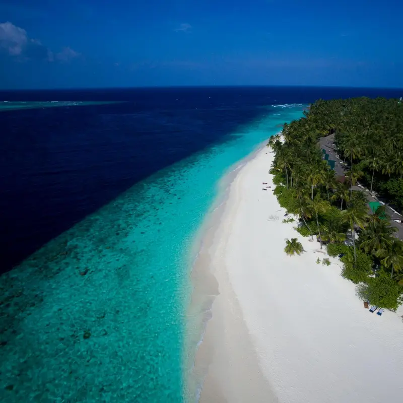 Vue aérienne d'une plage de sable blanc bordée d'une eau turquoise et d'une végétation luxuriante.