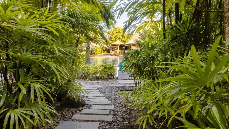 Un chemin pavé mène à une piscine bordée de végétation luxuriante.