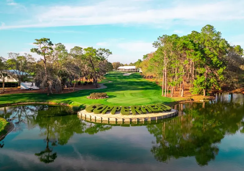 Un terrain de golf verdoyant avec un plan d'eau au premier plan et des arbres en arrière-plan.