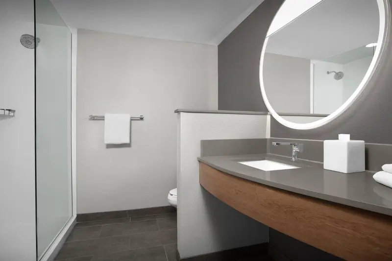 Une salle de bain moderne avec douche à l'italienne et grand miroir.