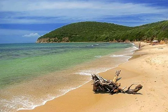 Une plage de sable fin borde une mer turquoise au pied d'une colline verdoyante.
