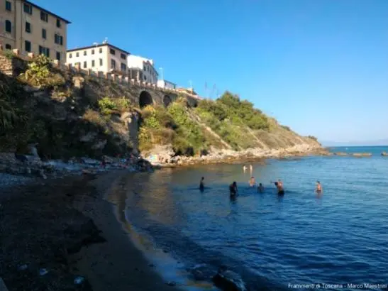 Une plage de galets bordée d'une eau turquoise et d'une végétation luxuriante.