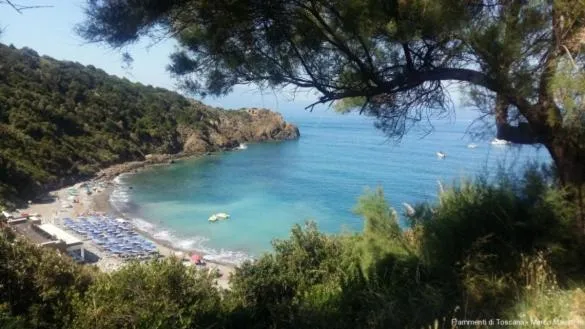 Une crique abritée avec une plage de sable et des transats.