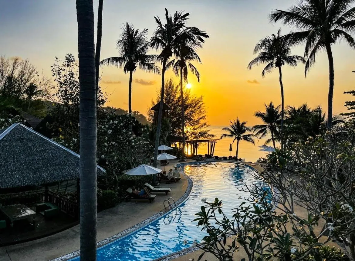 Coucher de soleil sur une piscine bordée de palmiers et de transats.