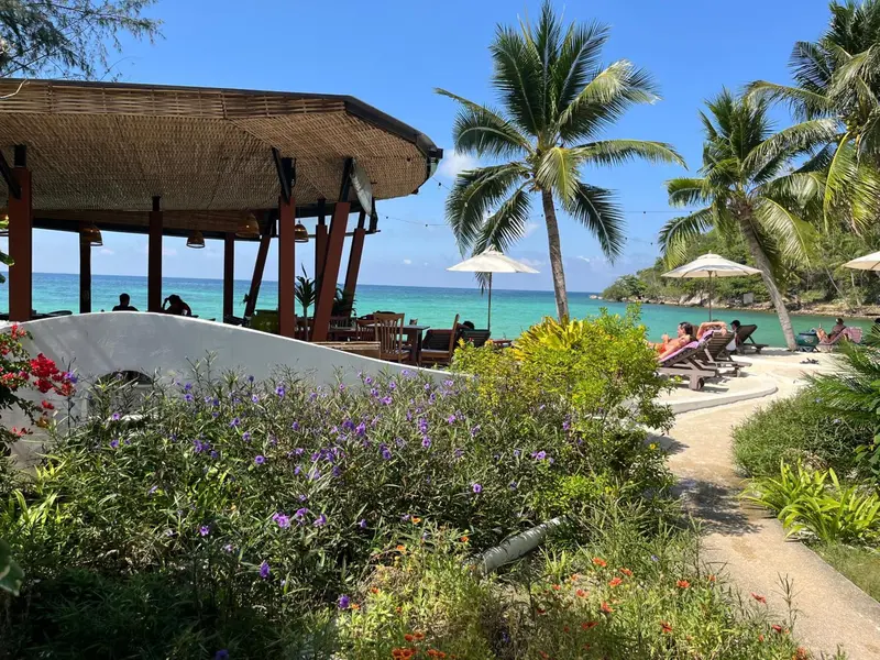 Une terrasse ombragée surplombe une plage de sable fin et une mer turquoise.
