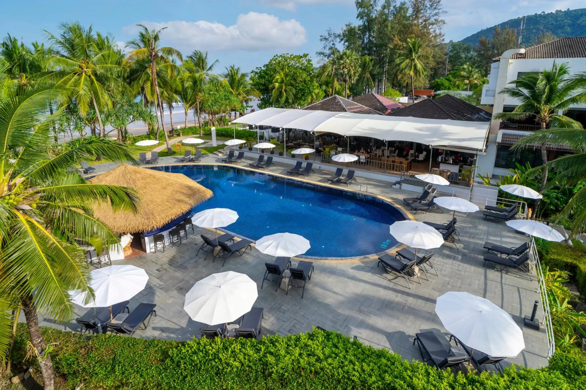 Piscine rectangulaire bordée de transats et de parasols blancs, avec végétation tropicale environnante.