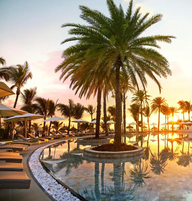 Palmiers se reflétant dans une piscine au coucher du soleil.