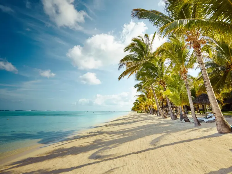 Plage de sable blanc bordée de palmiers sous un ciel bleu nuageux.