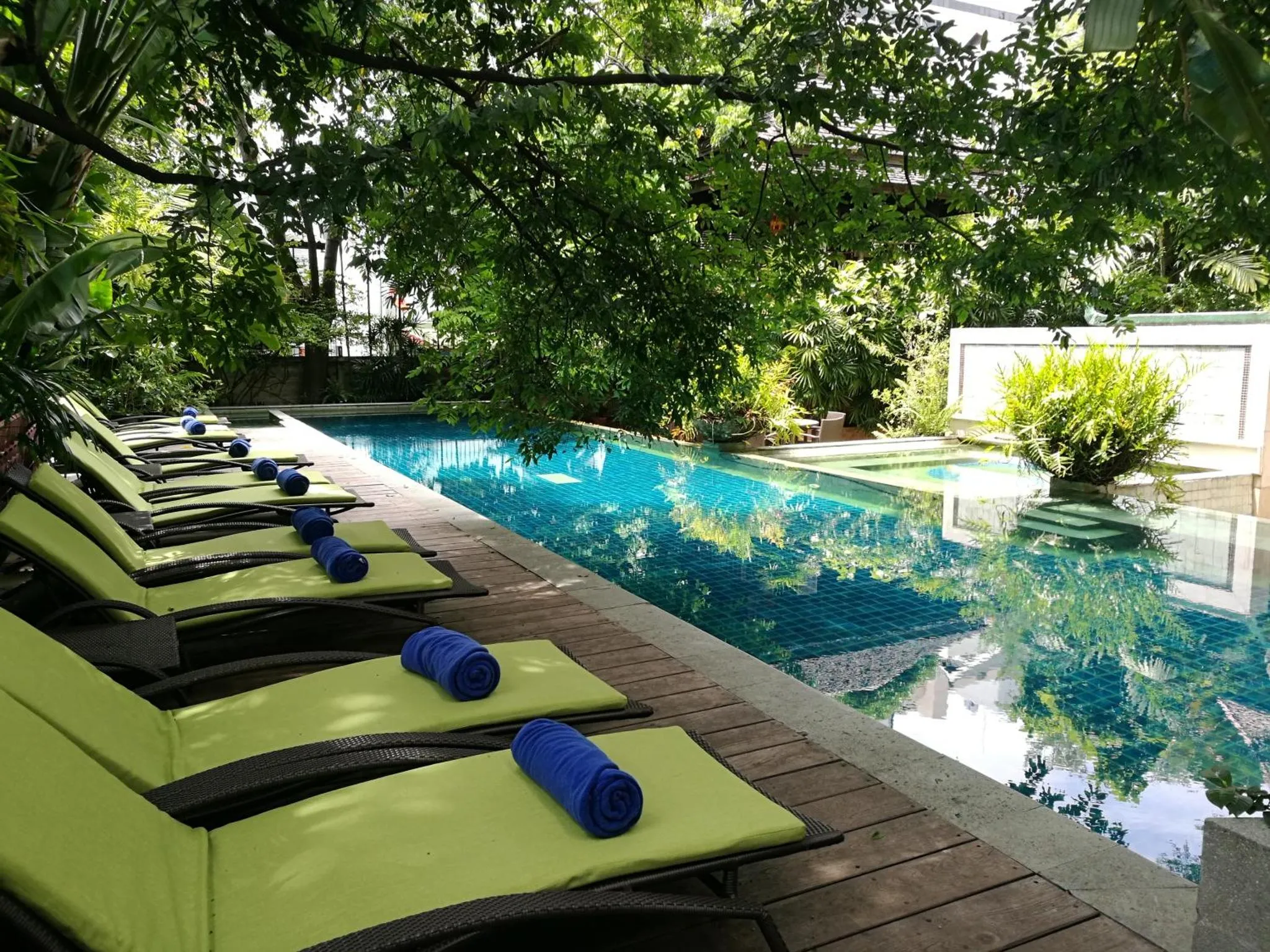 Transats verts alignés au bord d'une piscine rectangulaire entourée de végétation.