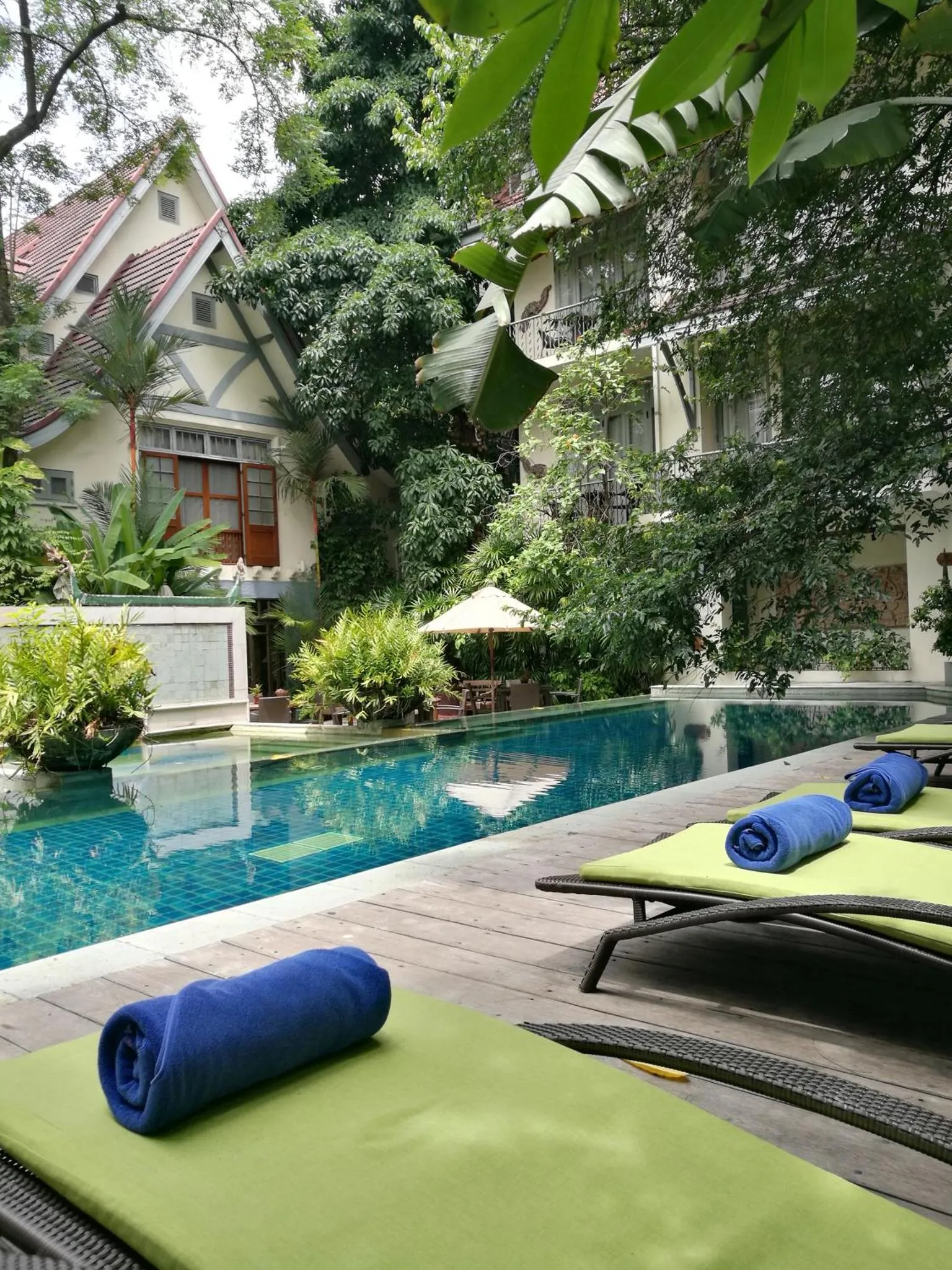 Une piscine turquoise bordée de transats verts dans un jardin luxuriant.