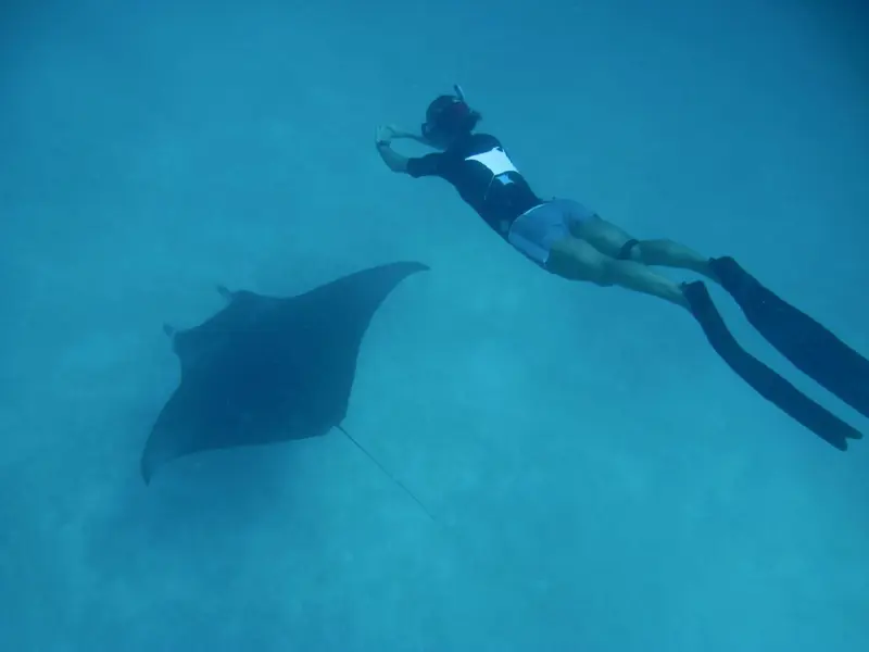 Une personne nage en apnée au-dessus d'une raie manta dans une eau turquoise.