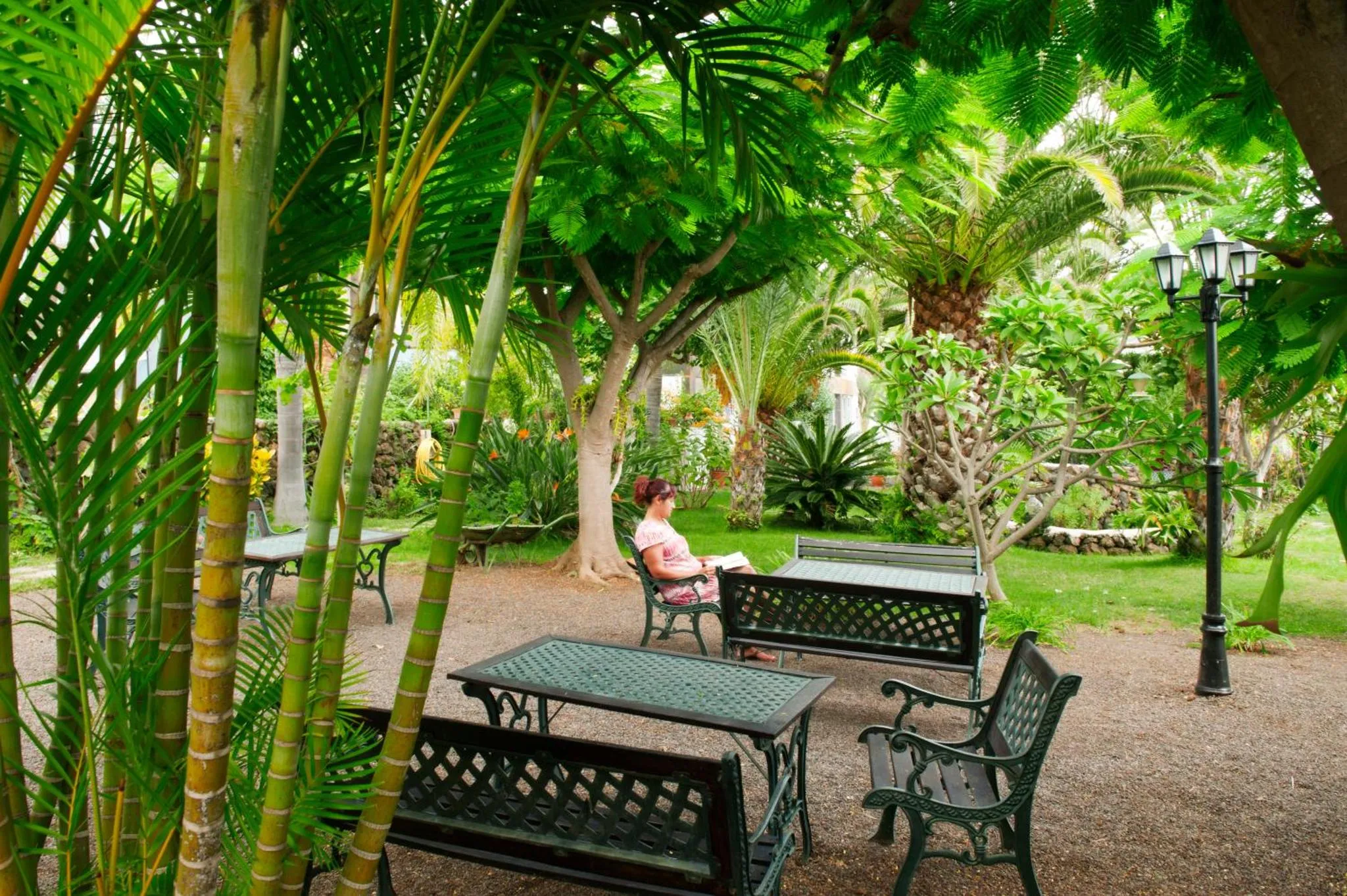 Une personne est assise à une table dans un jardin ombragé.