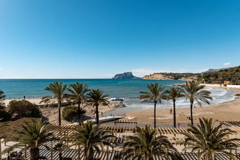 Vue aérienne d'une plage de sable fin bordée de palmiers et de parasols.