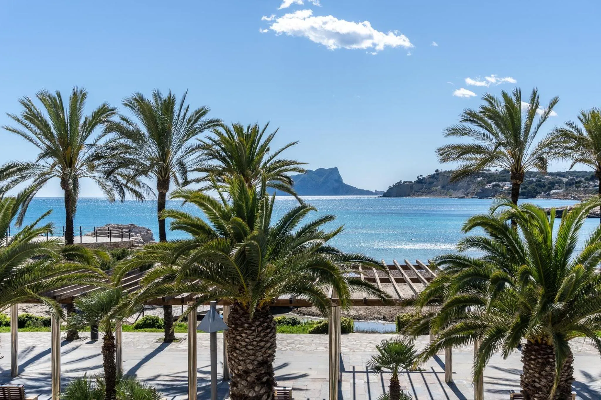 Palmiers bordant une terrasse avec vue sur la mer et les montagnes.